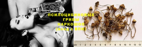 ешки Арсеньев