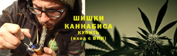 ешки Арсеньев