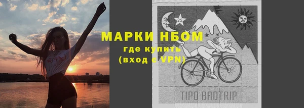 прущие грибы Аркадак