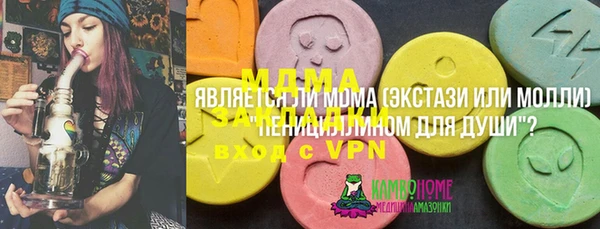прущие грибы Аркадак