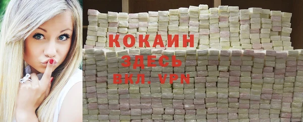 ешки Арсеньев