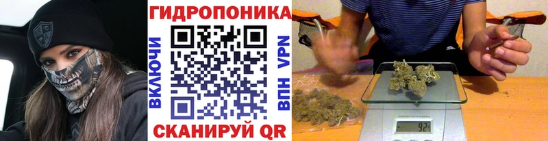 даркнет сайт  Починок  Бошки Шишки Bruce Banner 